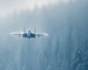 Jet Fighter in Snowy Forest