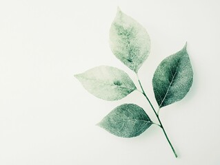 Green Leaf Sprig