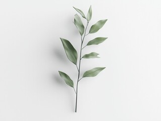 Fototapeta premium Green Branch Minimal