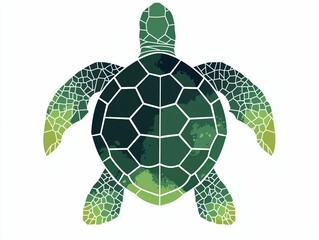 Obraz premium Green Sea Turtle
