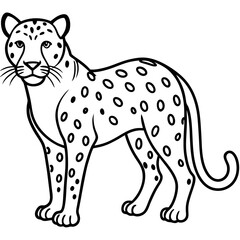 Sapphire Leopard Outline Vector