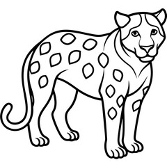 Sapphire Leopard Outline Vector