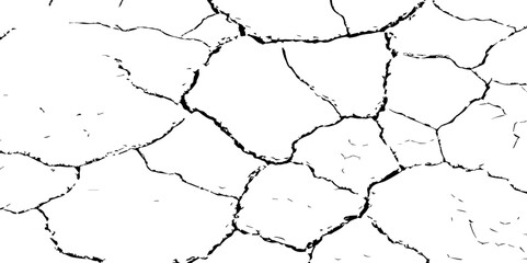 Cracked Earth Vector Texture with Transparent Background – High-Detail Grunge Overlay of Dry, Distressed Lines and Natural Ground Erosion
