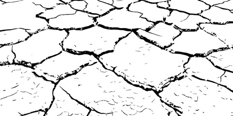 Cracked Earth Vector Texture with Transparent Background – High-Detail Grunge Overlay of Dry, Distressed Lines and Natural Ground Erosion
