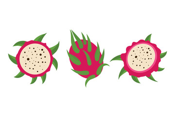 Pitaya, Pitahaya, Dragon Fruit vector set. Tropical exotic fruit pitaya whole and halves