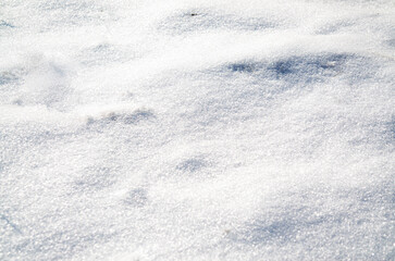 Snow texture. Winter white background.