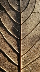 Delving into the intricate patterns and complex details of a leaf through a microscope unveils the fascinating chaos within nature's design