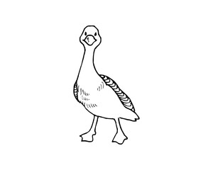 Duck Sitting SVG Icon Logo Design – Cute Waterfowl Vector Clipart, Animal Silhouette, Nature Logo for Print