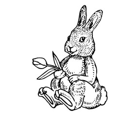 Rabbit Eating Carrot in Field SVG Icon Logo Design – Cute Bunny Vector Clipart, Garden Animal Silhouette, Farm Logo Illustration