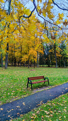 bench in autumn park