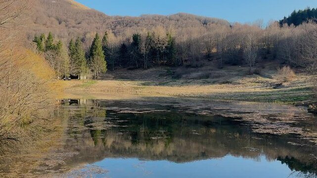 A tranquil view of Lago Calamone in Ventasso, Italy, showcasing the calm lake reflecting the surrounding pine trees and a clear blue sky with wispy clouds. Bare tree branches frame the upper part of t