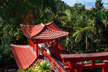 Scenic view of red rooftops and colonial architecture in Funchal, Madeira. Surrounded by tropical...