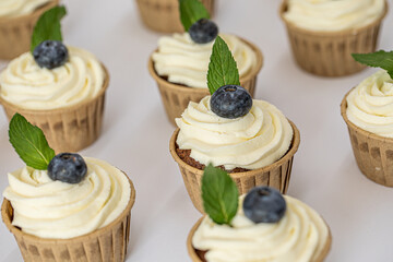 Close-up shot of delicious blueberry Vanilla cupcakes topped with cream cheese frosting and mint leaves.