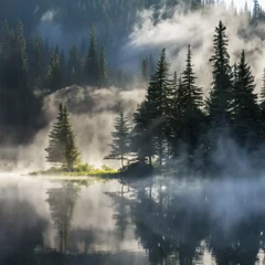 Tableau sur plexiglas Forêt brumeuse Misty Lake with Forest Reflection  © Muhammad