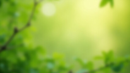 Serene Green Nature Background Blurred Leaves and Sunlight