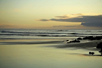 Silver light reflection over beach wet sand, yellowish light at horizon line, sunrise in Itacuruca beach, Cananeia, south Sao Paulo state 
