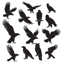 Set of black bird' vector icon silhouettes isolated on white background