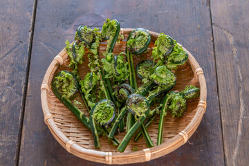 春の山菜　こごみ