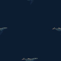 Seamless pattern of an abstract background with whale 
