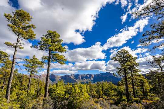 Expansive canyon view with lush greenery under a vibrant blue sky and rolling clouds