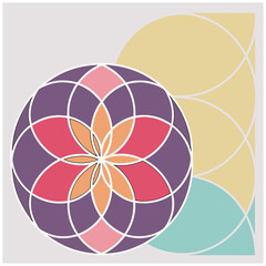 color palette