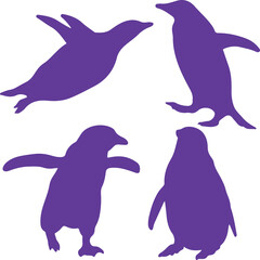 penguin vector illustration