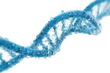Luminous blue DNA strand spiraling in the air, symbolizing life%E2%80%99s molecular structure and genetic coding, isolated on a clean white background (3)