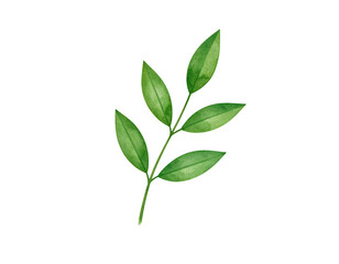 Fototapeta premium Watercolor illustration of a green sprig with five leaves