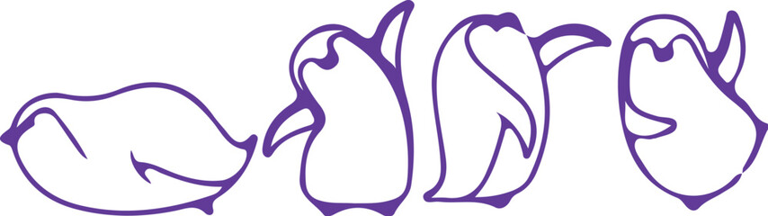 penguin vector illustration