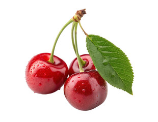 Fresh Red Cherries with water drops Isolated PNG or JPEG Background