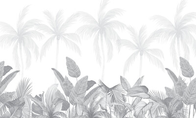 Monochrome Palm Trees and Foliage Illustration, Elegant Tropical Banner in Grayscale
