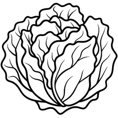 Minimalist Iceberg Lettuce Vector Illustration