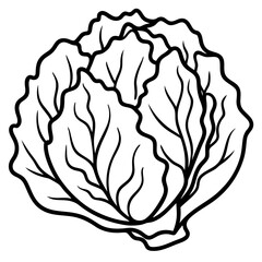 Minimalist Iceberg Lettuce Vector Illustration