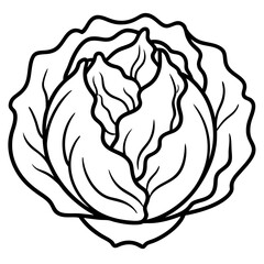 Minimalist Iceberg Lettuce Vector Illustration