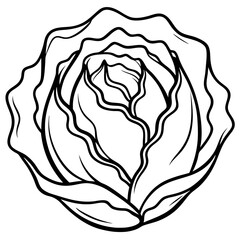 Minimalist Iceberg Lettuce Vector Illustration