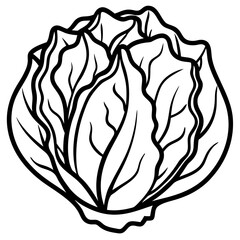 Minimalist Iceberg Lettuce Vector Illustration