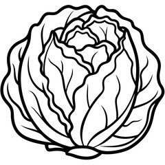 Minimalist Iceberg Lettuce Vector Illustration