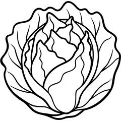 Minimalist Iceberg Lettuce Vector Illustration
