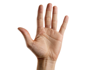 Open Hand Palm Facing Camera Isolated PNG or JPEG Background