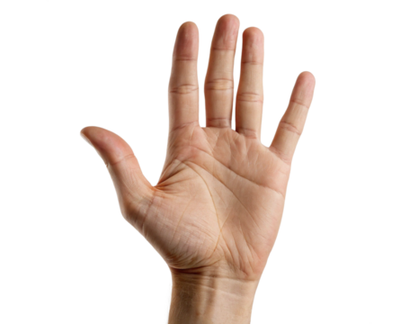 Open Hand Palm Facing Camera Isolated PNG or JPEG Background