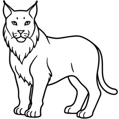 Arctic Lynx Outline Artwork