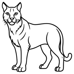 Arctic Lynx Outline Artwork