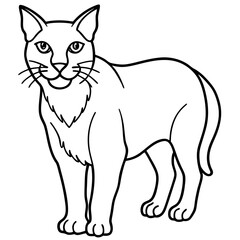 Arctic Lynx Outline Artwork