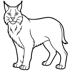 Arctic Lynx Outline Artwork