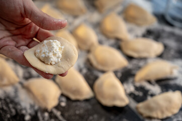 Forming dumplings, close-up of hands at work. Traditional Ukrainian dumplings with cottage cheese - step-by-step process of home cooking.