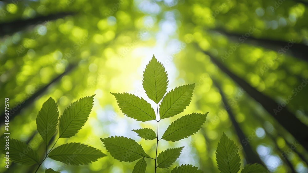 Poster sunlight filtering through green leaves in lush forest