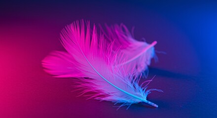 Obraz premium Vivid Pink and Blue Neon Feathers Closeup Soft Light Background Texture