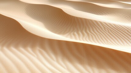 Obraz premium Sand Dune Texture
