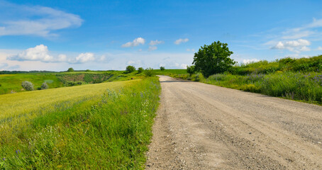 Straight country road and green farmland natural scenery.