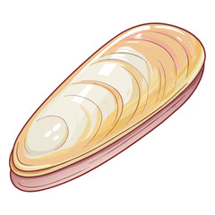 Close-up photograph of a single, elongated razor clam shell, showcasing its smooth, narrow, and slightly curved form  emphasizing texture and subtle coloration. © juni